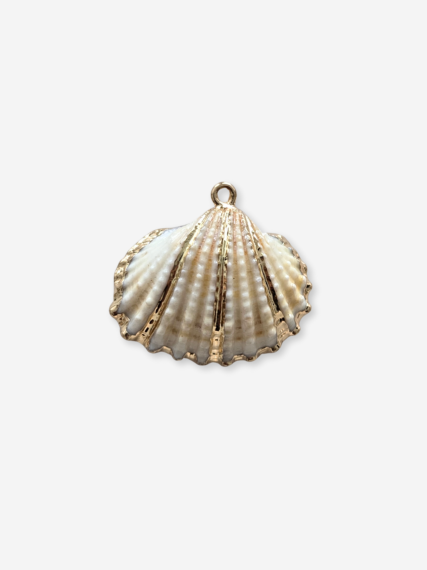 BIJOU BODEGA | Large Seashell Charms