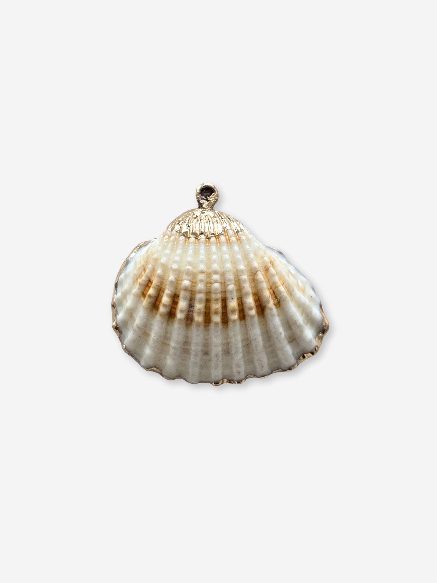 BIJOU BODEGA | Large Seashell Charms