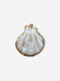 BIJOU BODEGA | Large Seashell Charms