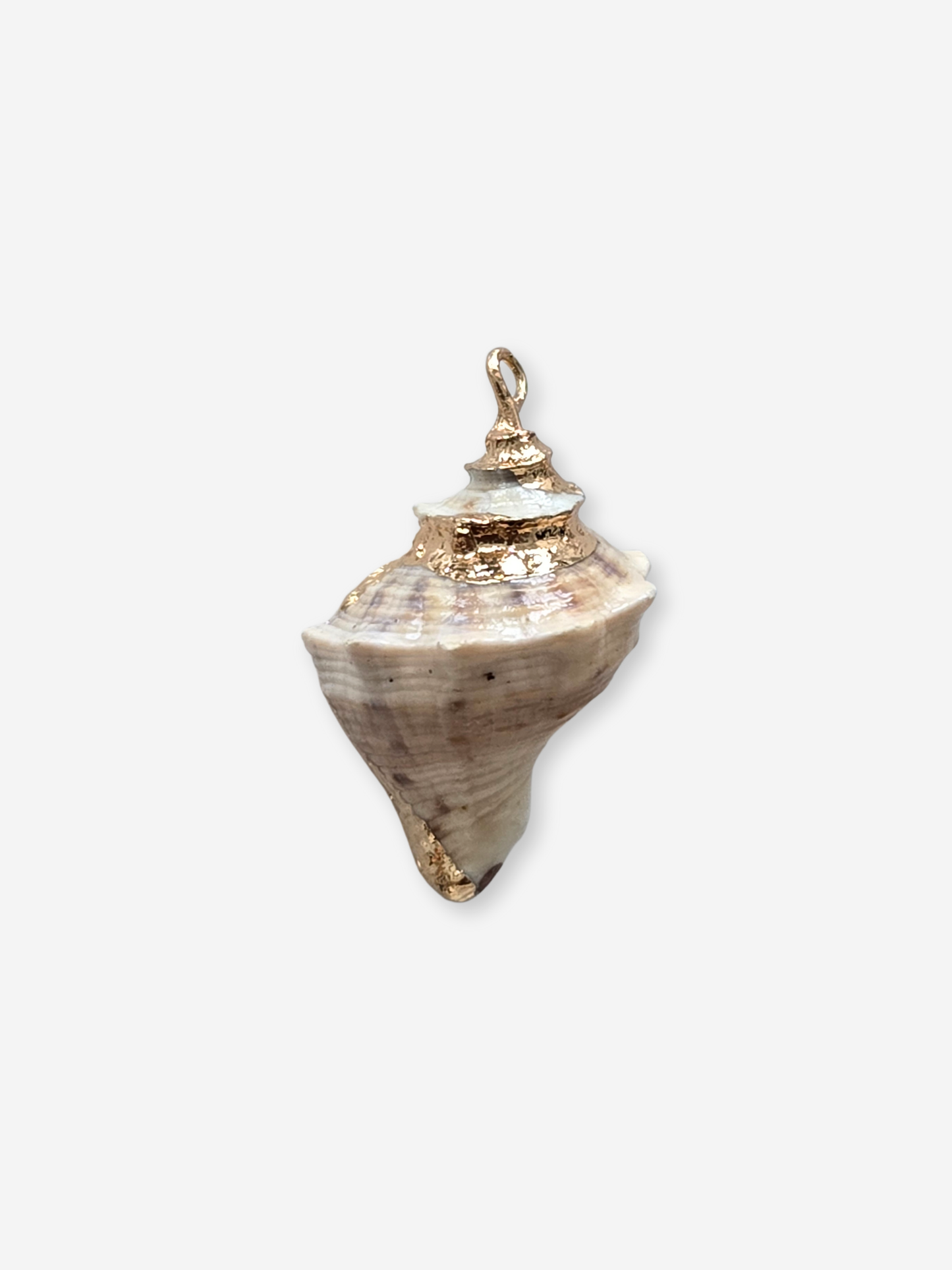 BIJOU BODEGA | Large Seashell Charms