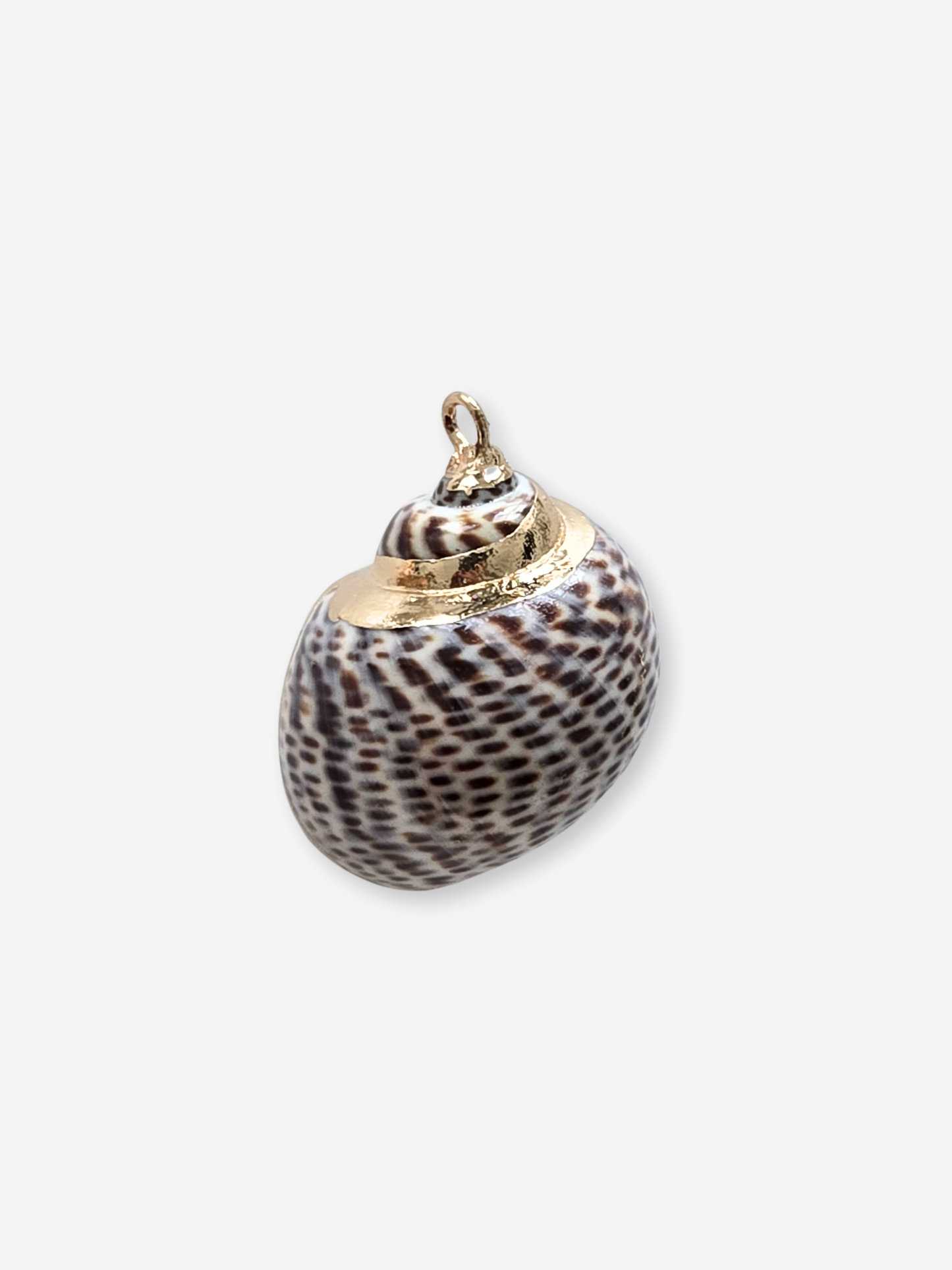 BIJOU BODEGA | Large Seashell Charms