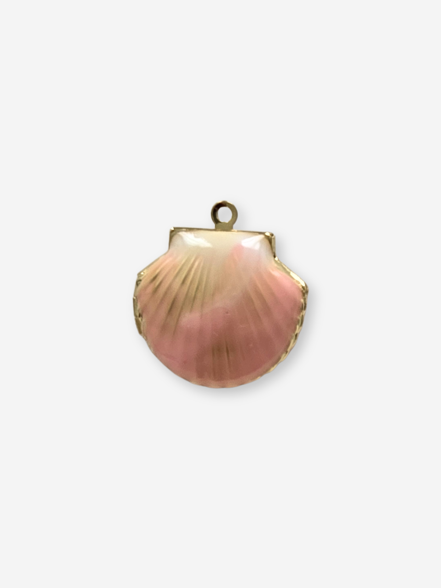 BIJOU BODEGA | Large Seashell Charms